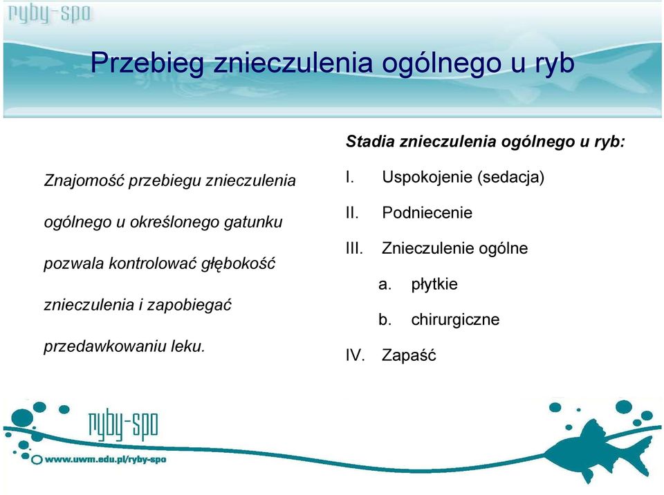 Uspkjenie (sedacja) gólneg u kreślneg gatunku pzwala kntrlwać głębkść