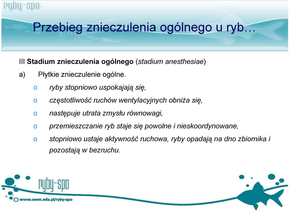 ryby stpniw uspkajają się, częsttliwść ruchów wentylacyjnych bniża się, następuje utrata