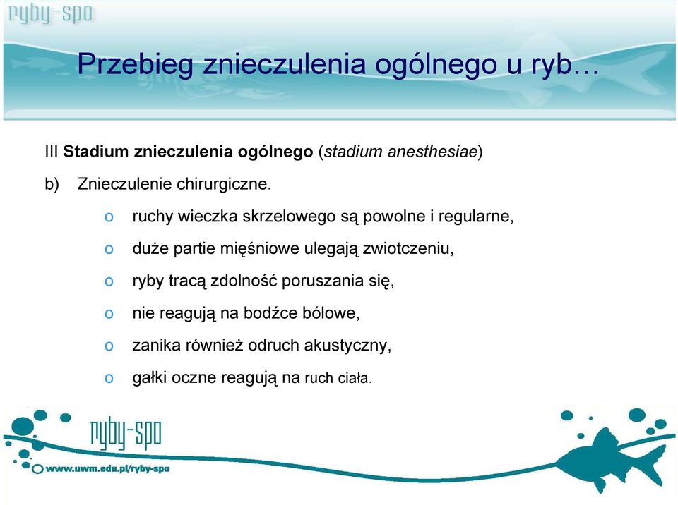 ruchy wieczka skrzelweg są pwlne i regularne, duże partie mięśniwe ulegają