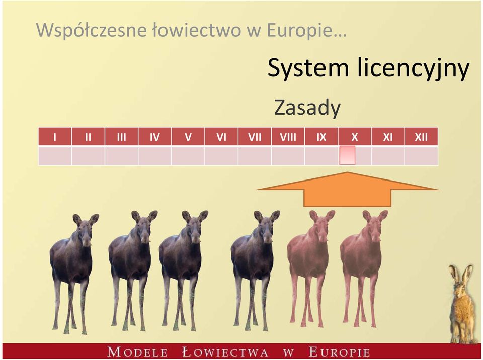 licencyjny Zasady I II