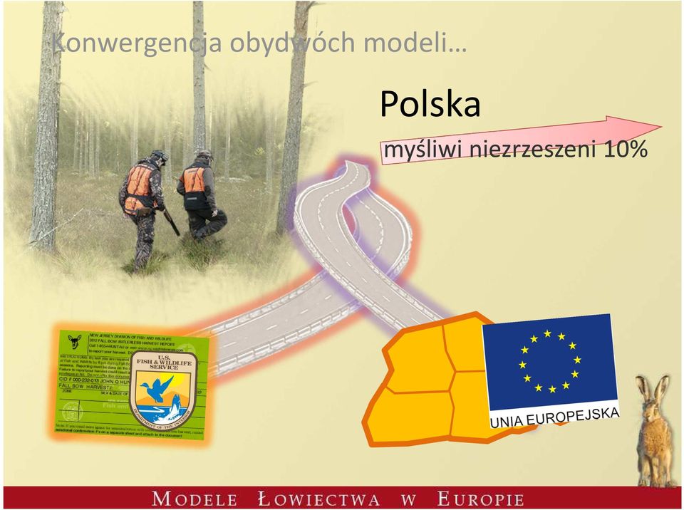 modeli Polska