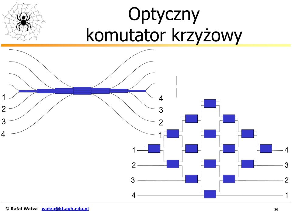 krzyżowy Rafał