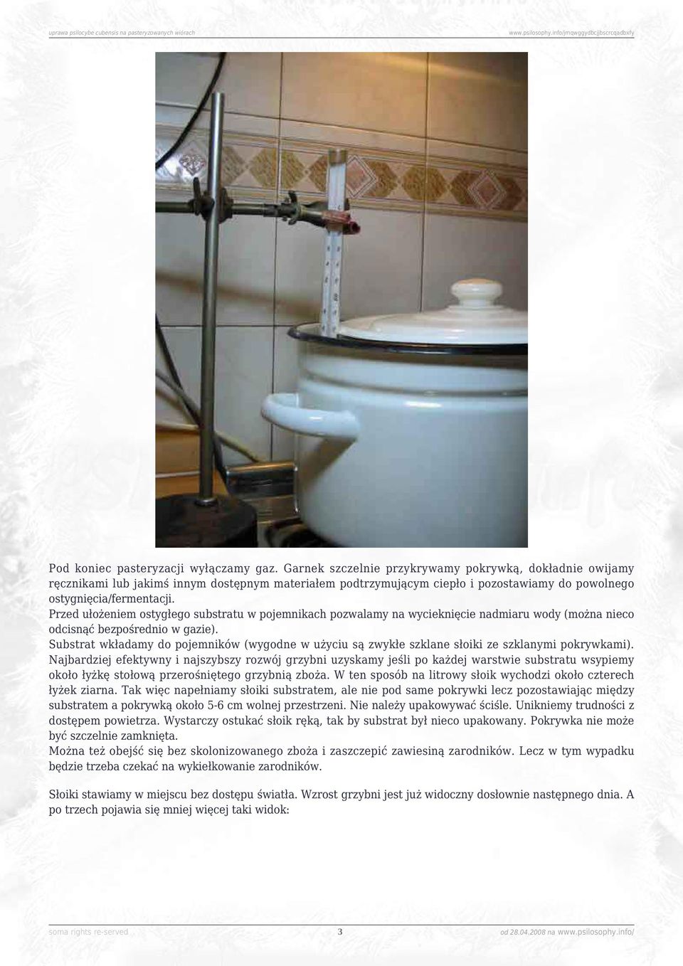 Przed ułożeniem ostygłego substratu w pojemnikach pozwalamy na wycieknięcie nadmiaru wody (można nieco odcisnąć bezpośrednio w gazie).