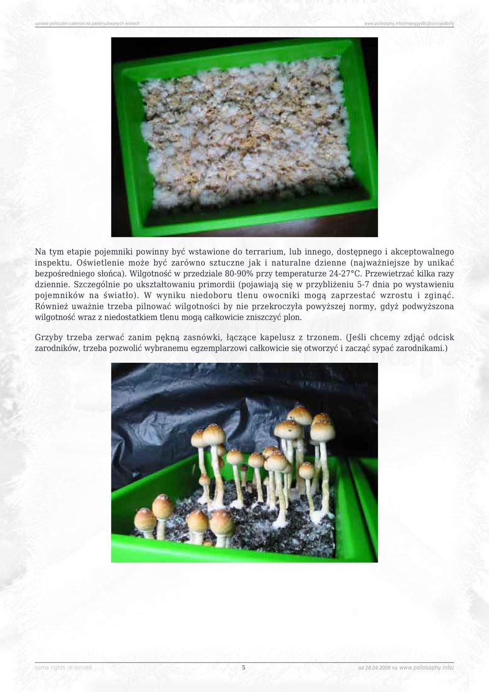 Przewietrzać kilka razy dziennie. Szczególnie po ukształtowaniu primordii (pojawiają się w przybliżeniu 5-7 dnia po wystawieniu pojemników na światło).
