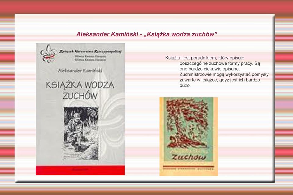 pracy. Są one bardzo ciekawie opisane.