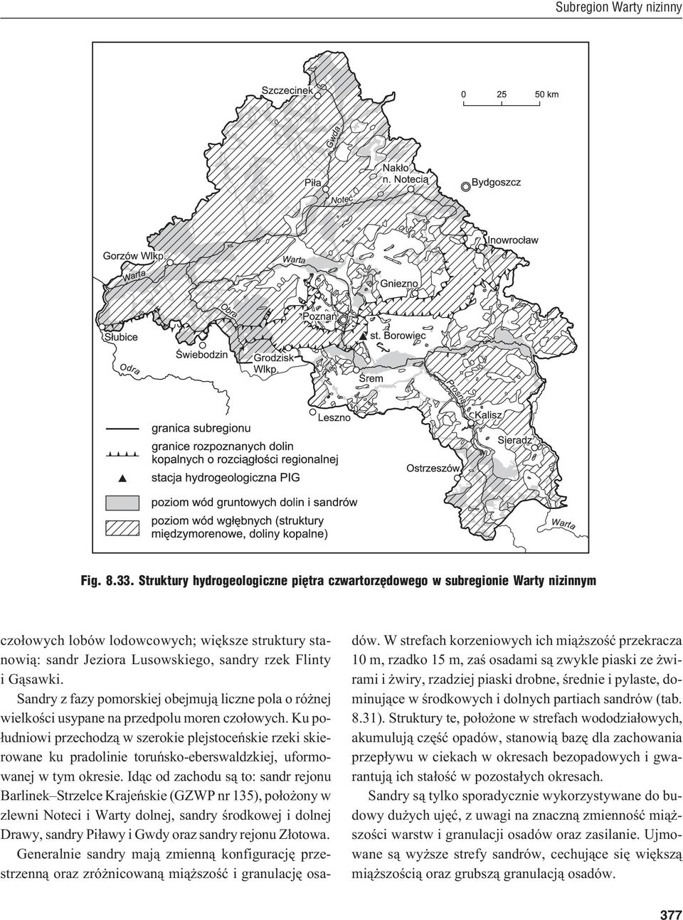 Sandry z fazy pomorskiej obejmuj¹ liczne pola o ró nej wielkoœci usypane na przedpolu moren czo³owych.