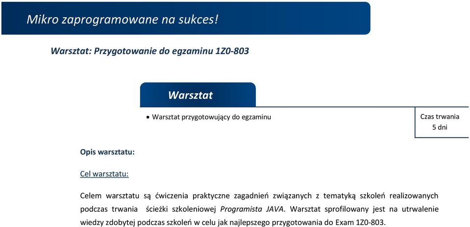 szkoleń realizowanych podczas trwania ścieżki szkoleniowej Programista JAVA.
