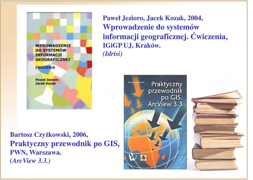 3.) Paweł Jezioro, Jacek Kozak, 2004, Wprowadzenie