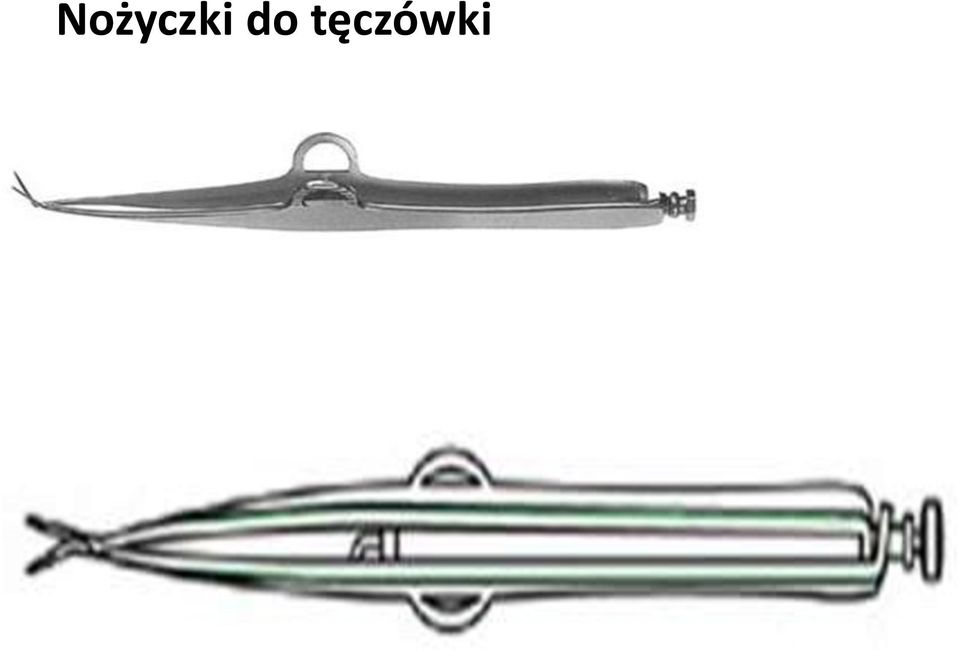tęczówki