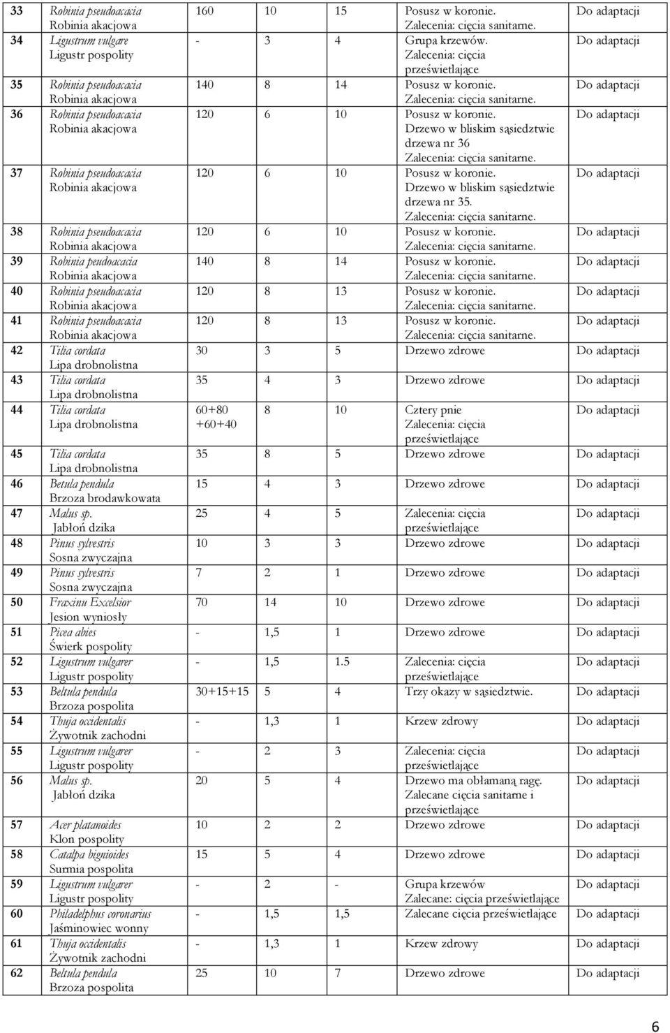 Jabłoń dzika 48 Pinus sylvestris Sosna zwyczajna 49 Pinus sylvestris Sosna zwyczajna 50 Fraxinu Excelsior Jesion wyniosły 51 Picea abies Świerk pospolity 52 Ligustrum vulgarer 53 Beltula pendula