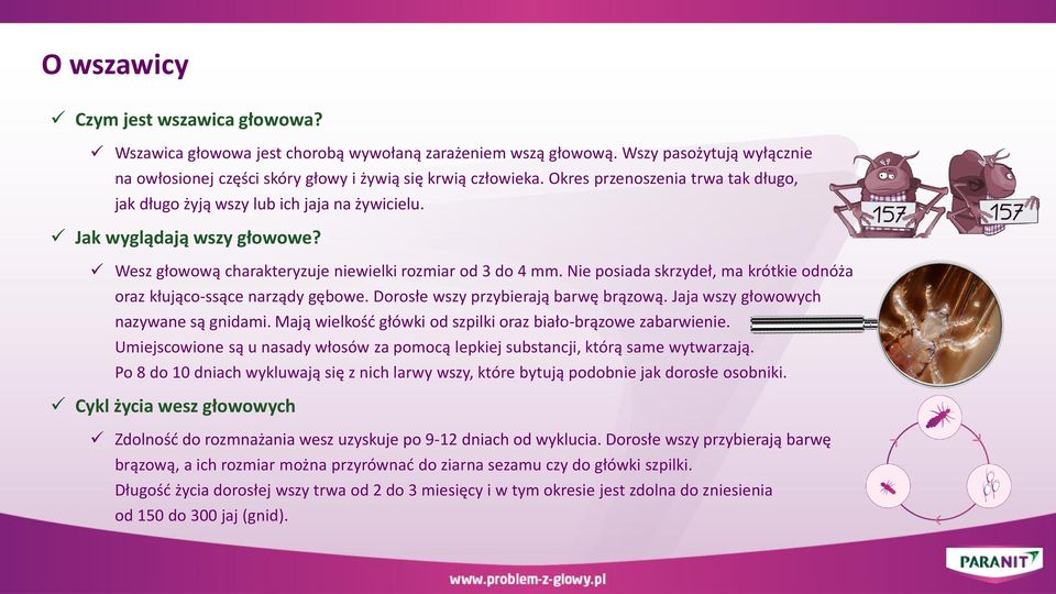 Nie posiada skrzydeł, ma krótkie odnóża oraz kłująco-ssące narządy gębowe. Dorosłe wszy przybierają barwę brązową. Jaja wszy głowowych nazywane są gnidami.