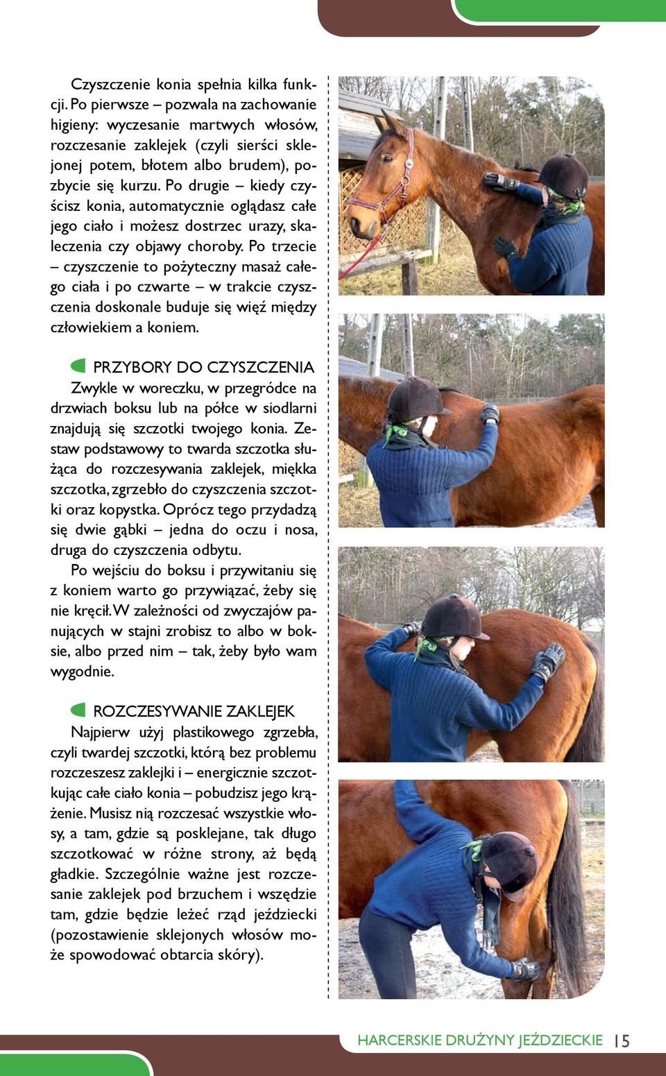 Po drugie kiedy czyścisz konia, automatycznie oglądasz całe jego ciało i możesz dostrzec urazy, skaleczenia czy objawy choroby.