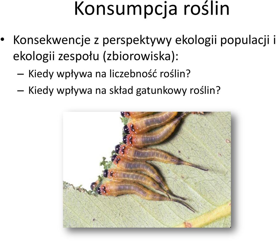 zespołu (zbiorowiska): Kiedy wpływa na
