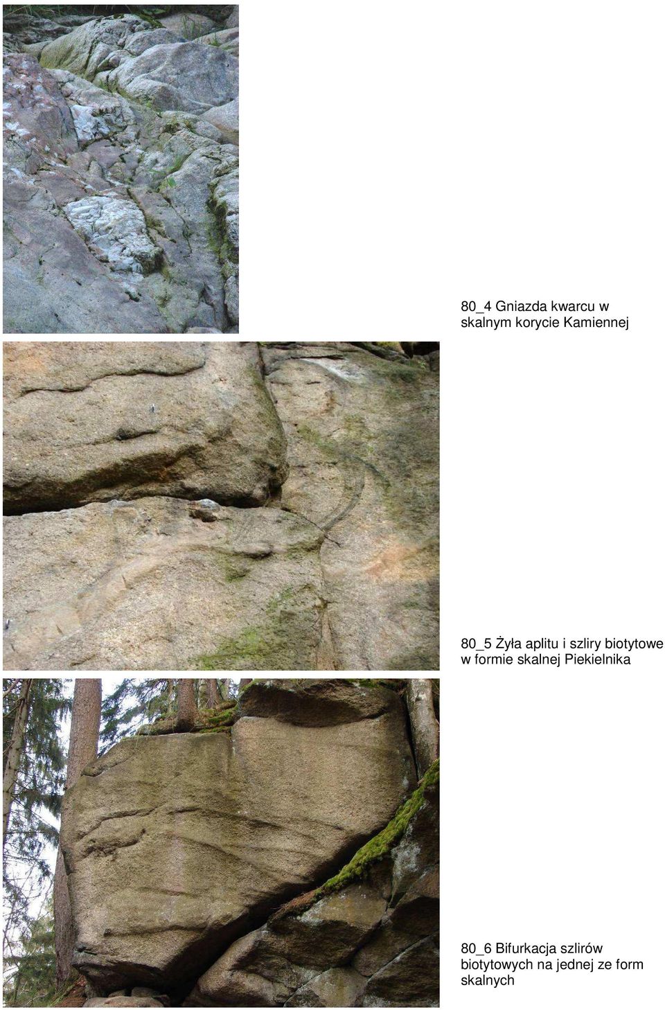 biotytowe w formie skalnej Piekielnika 80_6