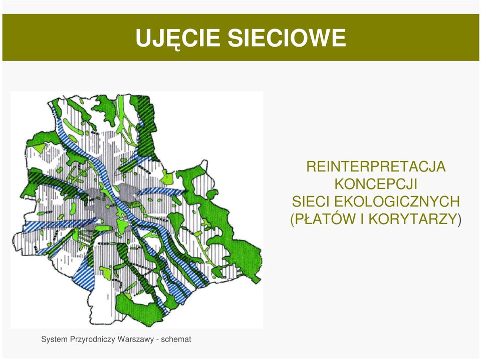 SIECI EKOLOGICZNYCH (PŁATÓW I