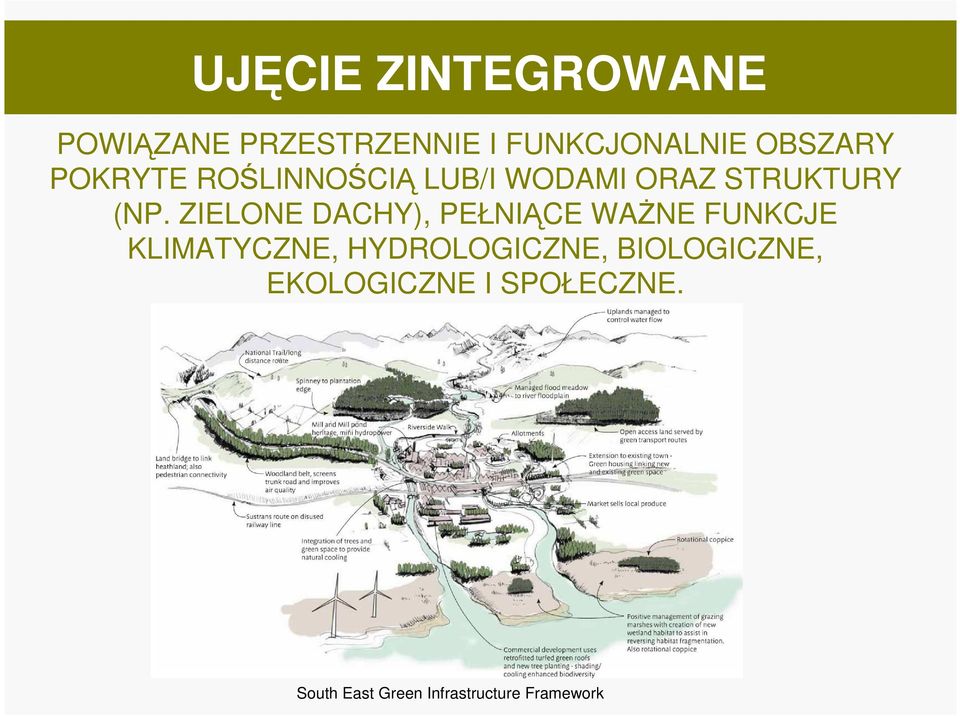 ZIELONE DACHY), PEŁNIĄCE WAŻNE FUNKCJE KLIMATYCZNE, HYDROLOGICZNE,