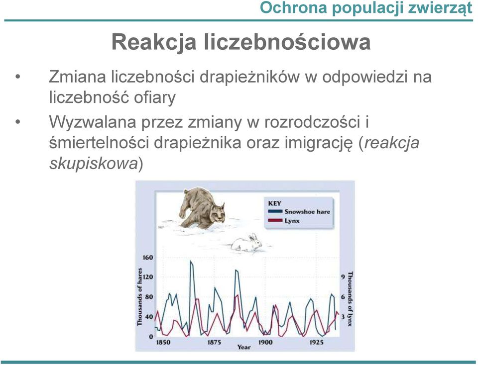 liczebność ofiary Wyzwalana przez zmiany w