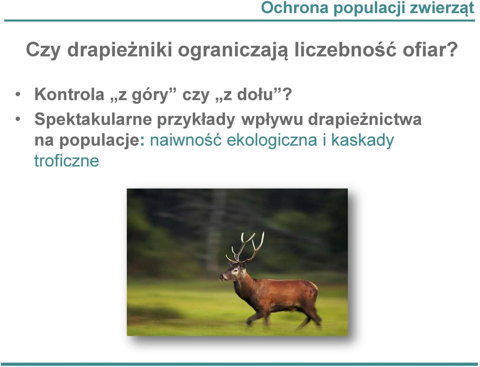 Kontrola z góry czy z dołu?