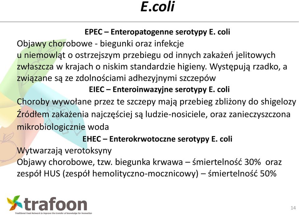 Występują rzadko, a związane są ze zdolnościami adhezyjnymi szczepów EIEC Enteroinwazyjne serotypy E.