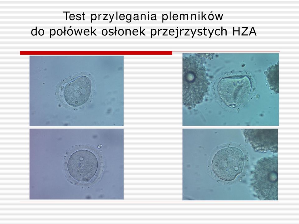 plemników do