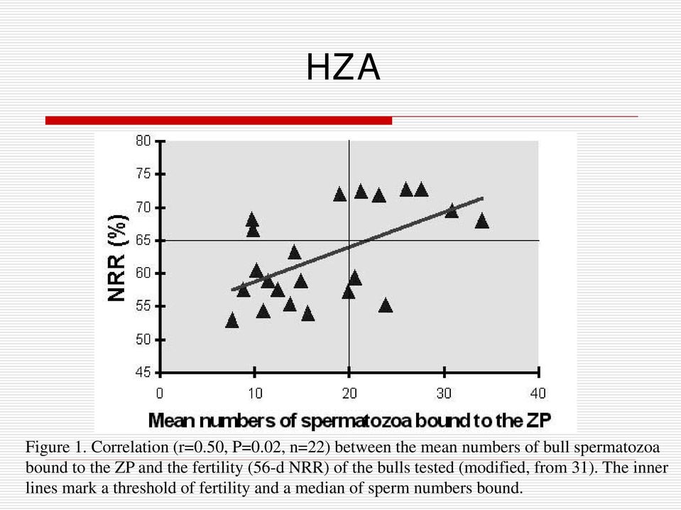 the ZP and the fertility (56-d NRR) of the bulls tested