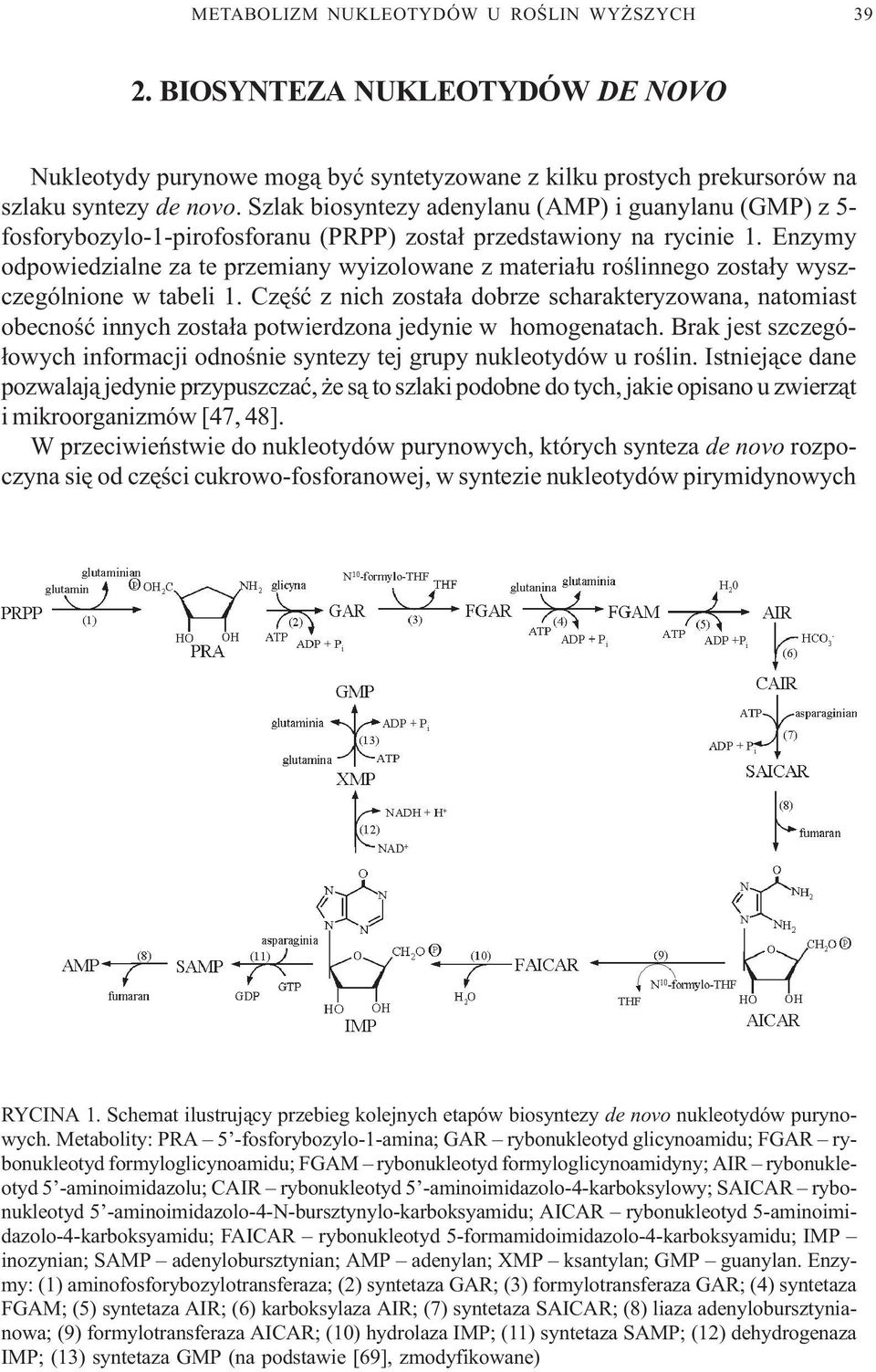 Enzymy odpowiedzialne za te przemiany wyizolowane z materia³u roœlinnego zosta³y wyszczególnione w tabeli 1.
