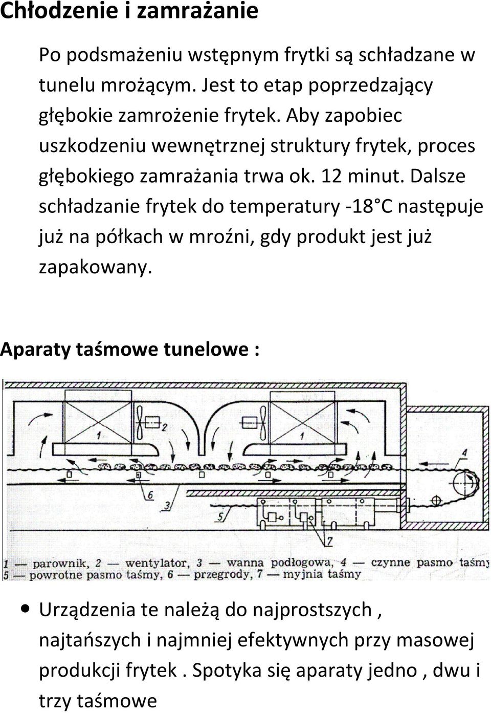Aby zapobiec uszkodzeniu wewnętrznej struktury frytek, proces głębokiego zamrażania trwa ok. 12 minut.