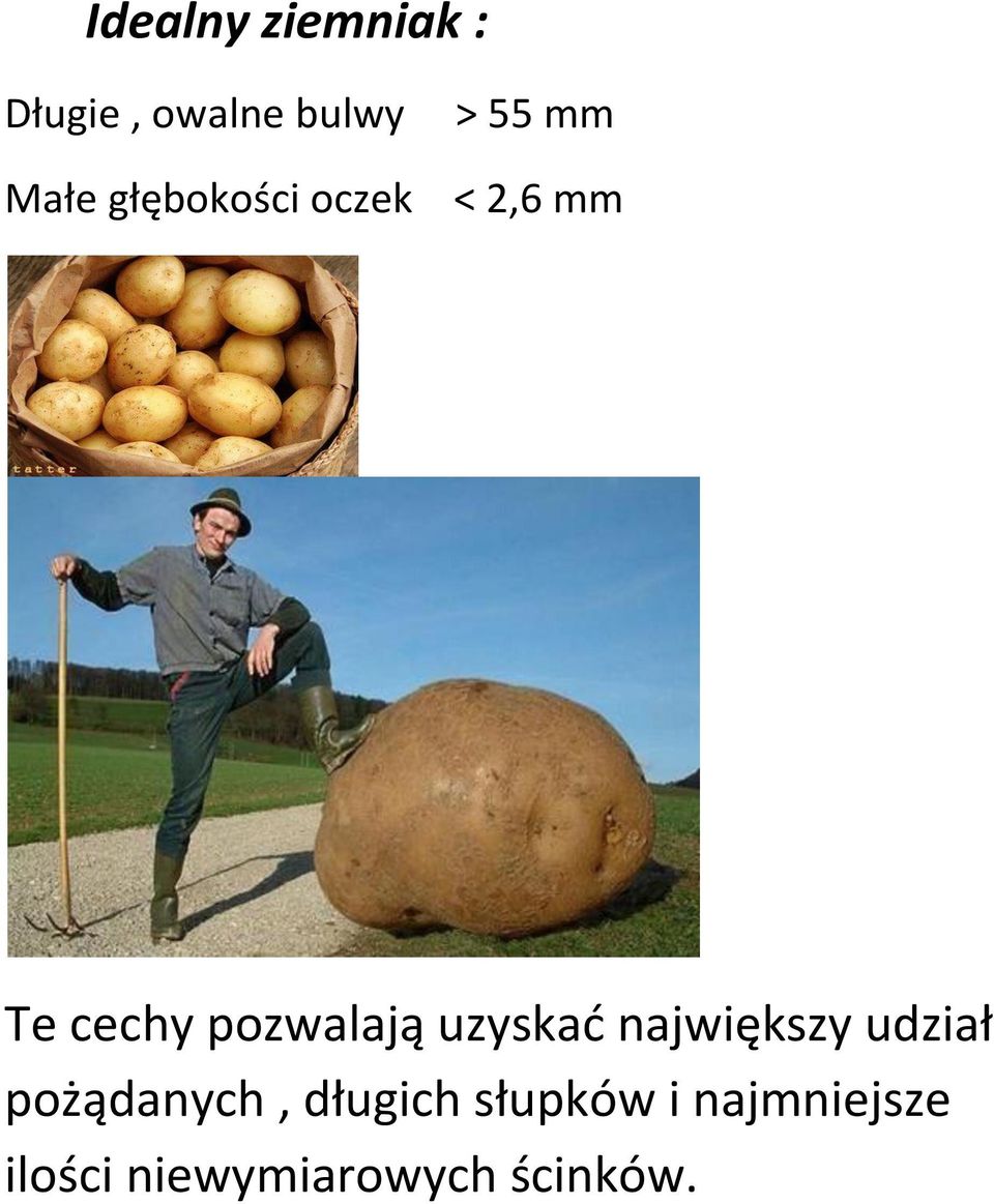 pozwalają uzyskad największy udział pożądanych,