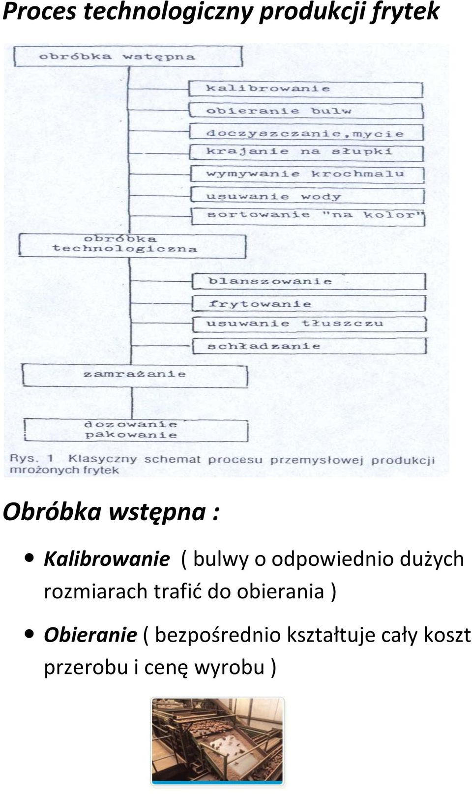 dużych rozmiarach trafid do obierania ) Obieranie