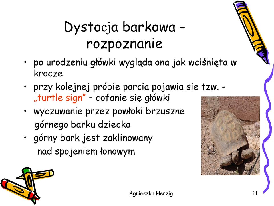 - turtle sign cofanie się główki wyczuwanie przez powłoki brzuszne