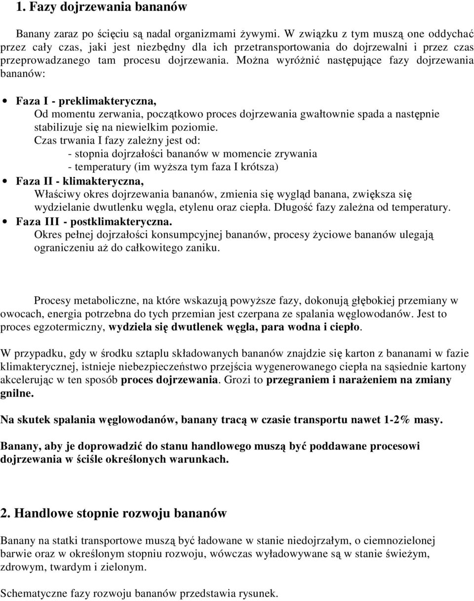 MoŜna wyróŝnić następujące fazy dojrzewania bananów: Faza I - preklimakteryczna, Od momentu zerwania, początkowo proces dojrzewania gwałtownie spada a następnie stabilizuje się na niewielkim poziomie.