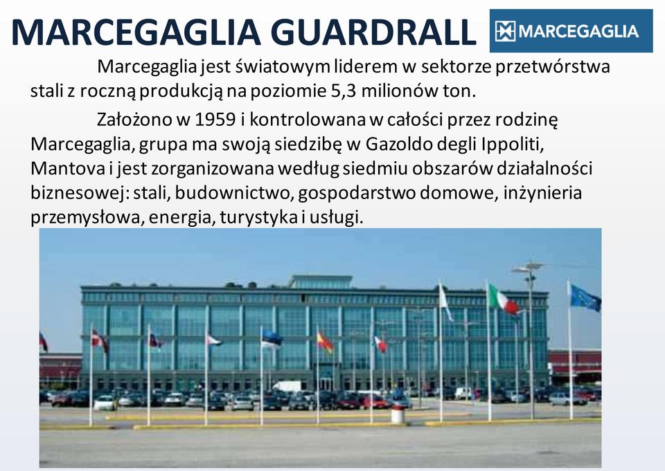 Założono w 1959 i kontrolowana w całości przez rodzinę Marcegaglia, grupa ma swoją siedzibę w Gazoldo