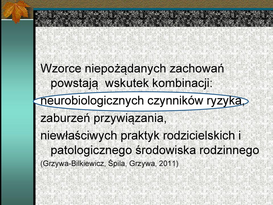 przywiązania, niewłaściwych praktyk rodzicielskich i