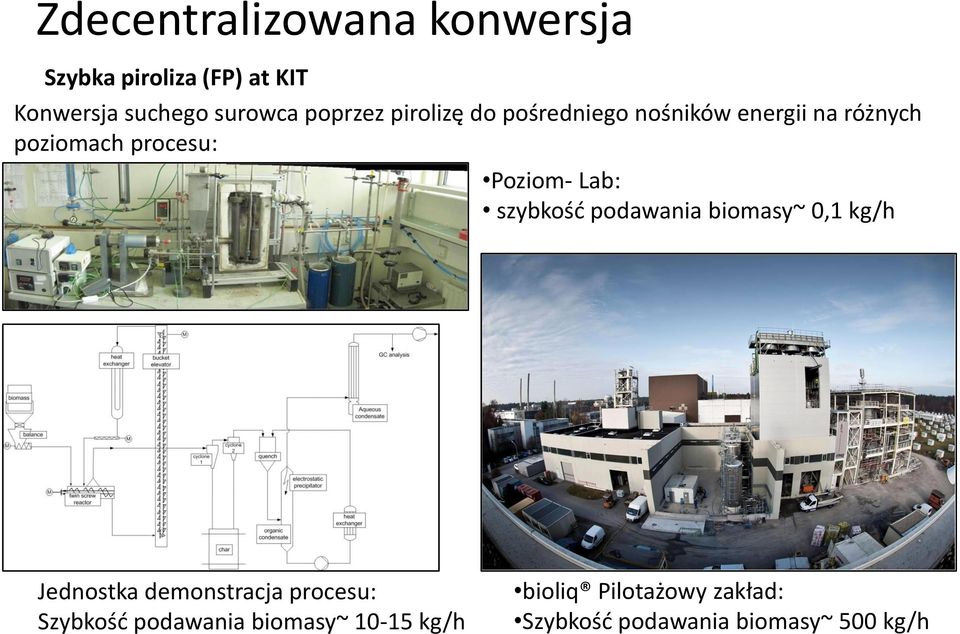 Poziom- Lab: szybkość podawania biomasy~ 0,1 kg/h Jednostka demonstracja procesu: