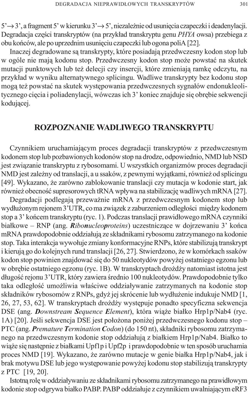 Inaczej degradowane s¹ transkrypty, które posiadaj¹ przedwczesny kodon stop lub w ogóle nie maj¹ kodonu stop.
