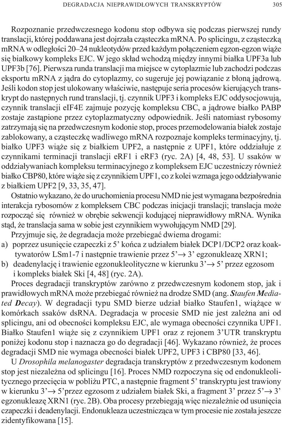 Pierwsza runda translacji ma miejsce w cytoplazmie lub zachodzi podczas eksportu mrna z j¹dra do cytoplazmy, co sugeruje jej powi¹zanie z b³on¹ j¹drow¹.