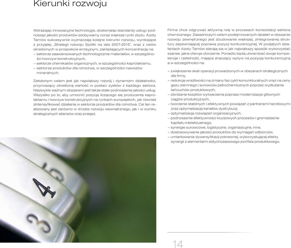 koncentrację na: sektorze zaawansowanych technologicznie materiałów, w szczególności tworzyw konstrukcyjnych, sektorze chemikaliów organicznych, w szczególności kaprolaktamu, sektorze produktów dla
