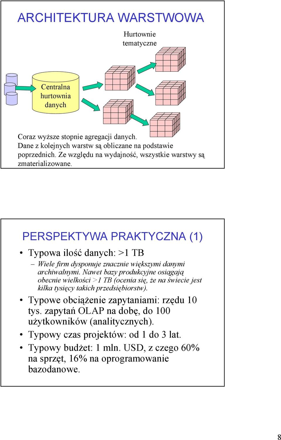 PERSPEKTYWA PRAKTYCZNA (1) Typowa ilość : >1 TB Wiele firm dysponuje znacznie większymi danymi archiwalnymi.