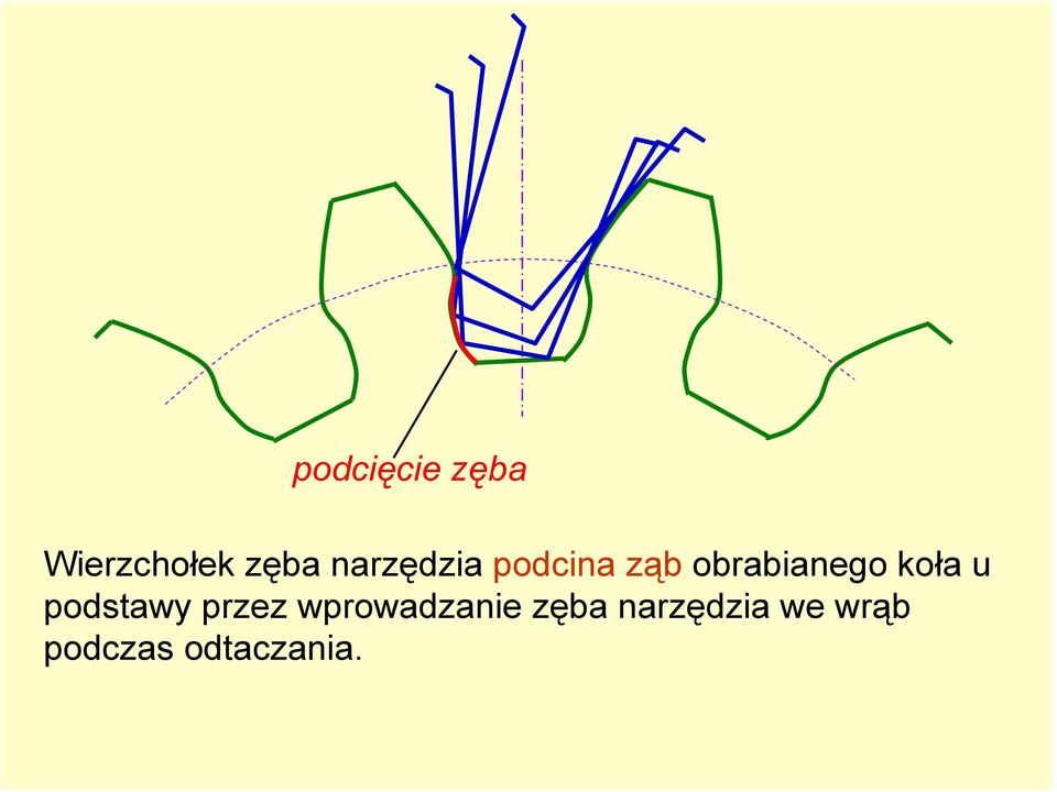 koła u podstawy przez wprowadzanie