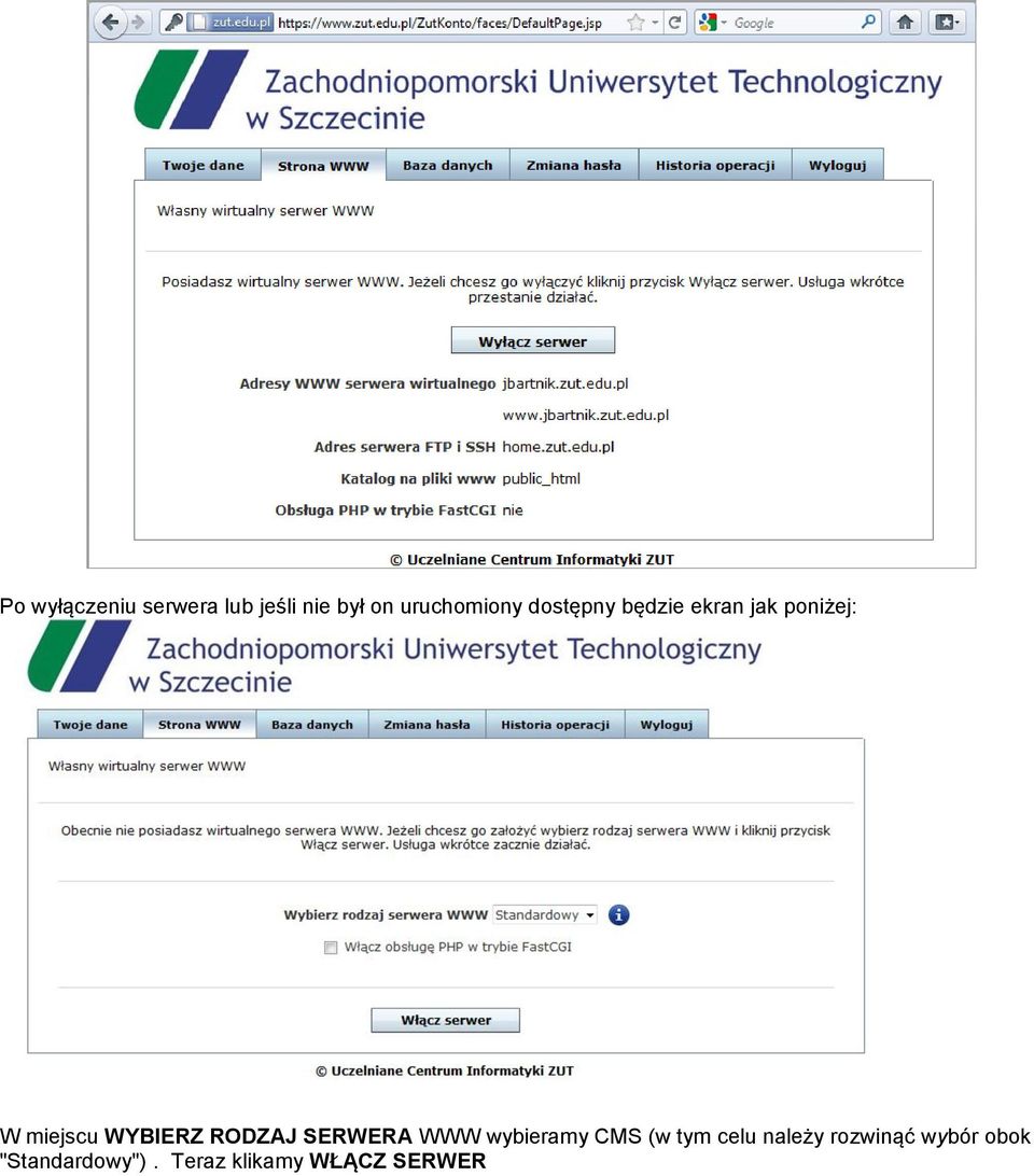 RODZAJ SERWERA WWW wybieramy CMS (w tym celu należy