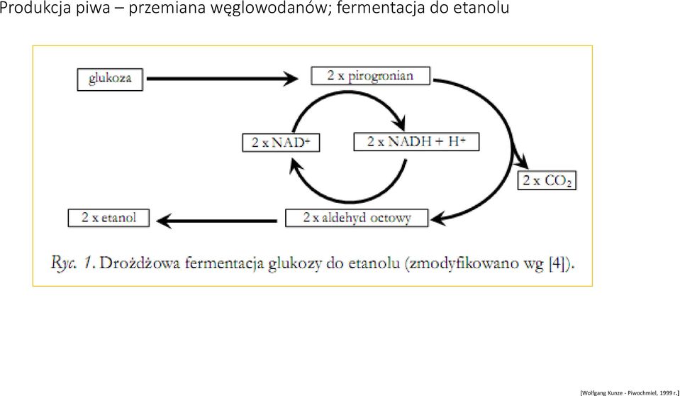 węglowodanów;