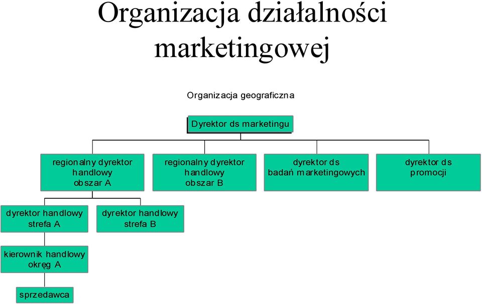 obszar B dyrektor ds badań m arketingowych dyrektor ds promocji dyrektor