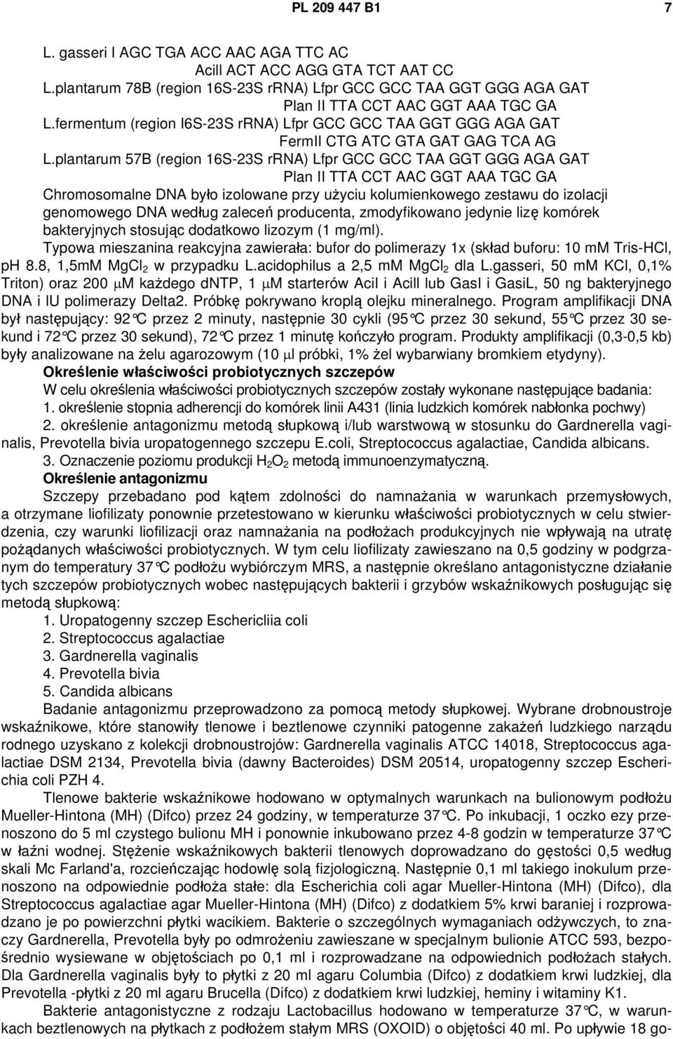 plantarum 57B (region 16S-23S rrna) Lfpr GCC GCC TAA GGT GGG AGA GAT Plan II TTA CCT AAC GGT AAA TGC GA Chromosomalne DNA było izolowane przy użyciu kolumienkowego zestawu do izolacji genomowego DNA