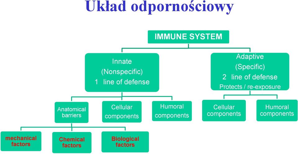 Anatomical barriers Cellular components Humoral components Cellular