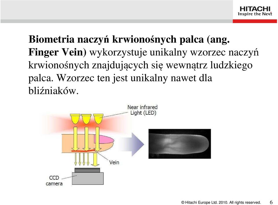 krwionośnych znajdujących się wewnątrz ludzkiego palca.