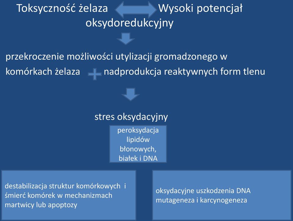 peroksydacja lipidów błonowych, białek i DNA destabilizacja struktur komórkowych i śmierć