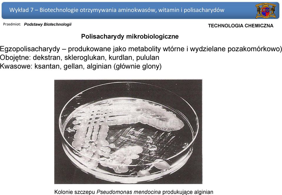 skleroglukan, kurdlan, pululan Kwasowe: ksantan, gellan, alginian