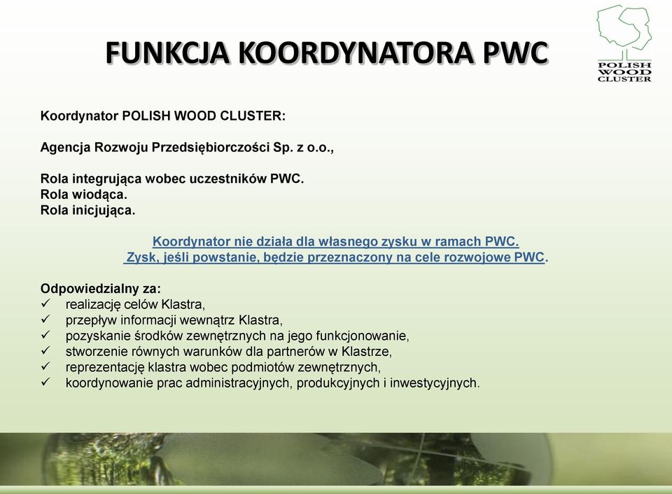 Odpowiedzialny za: realizację celów Klastra, przepływ informacji wewnątrz Klastra, pozyskanie środków zewnętrznych na jego funkcjonowanie, stworzenie