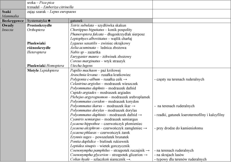 wątlik charłaj Lygaeus saxatilis zwiniec okrajkowy Aelia acuminata lednica zbożowa Nabis sp zażartka Eurygaster maura żółwinek zbożowy Coreus marginatus wtyk straszyk Papilio machaon paź królowej