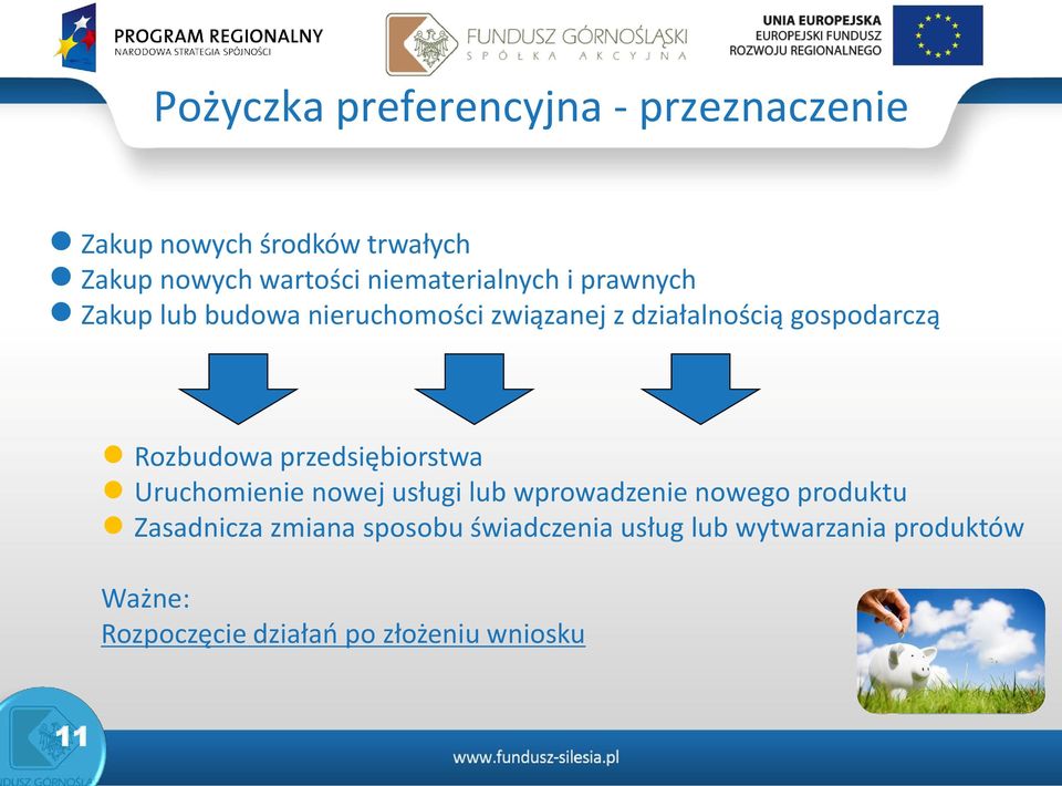 Rozbudowa przedsiębiorstwa Uruchomienie nowej usługi lub wprowadzenie nowego produktu Zasadnicza